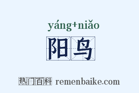 阳鸟是什么意思的图片